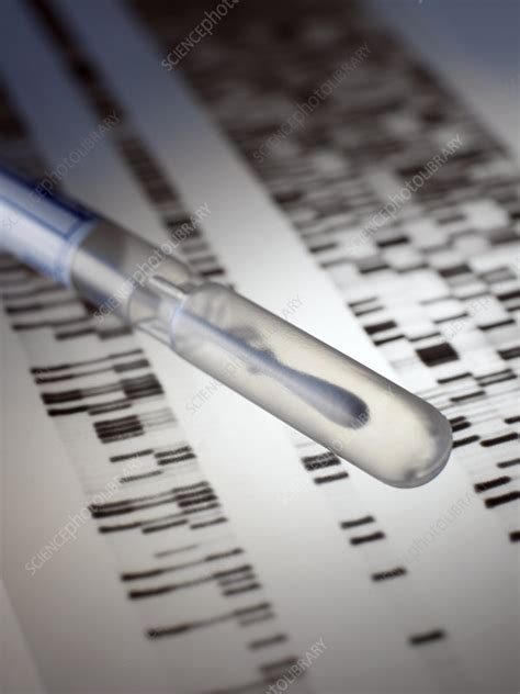 Genetic testing - Stock Image - G345/0027 - Science Photo Library 