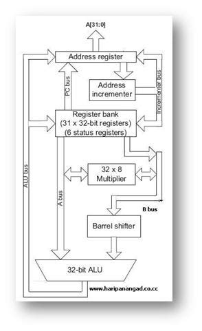 Cs Introduction To Arm Lab