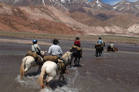 Horse Riding Vacation Basics - Western Life Today