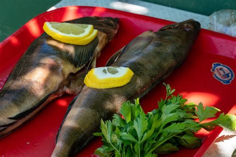 Fish Lingcod Cooking Smoked - Free photo on Pixabay - Pixabay