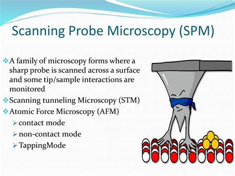 SOLUTION Scanning Probe Microscopy Ppt Studypool