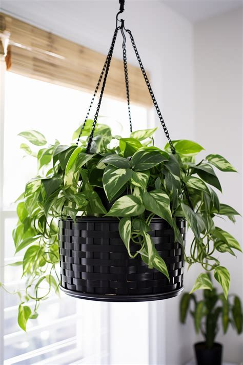 Innovative Plant Containers for Stylish Bathroom Greenery - Quiet Minimal