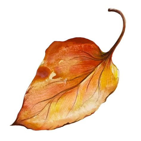 Premium Photo | Dead birch leaf watercolor illustration