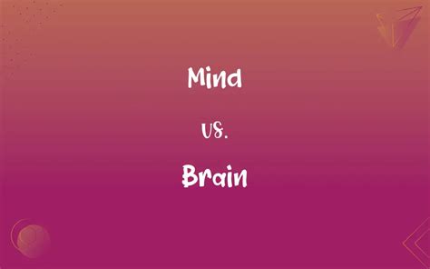 Mind vs. Brain: What’s the Difference?