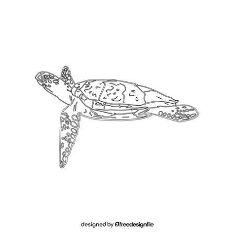 Sea Turtle Black And White Clipart Free Download