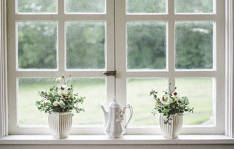photo garden flowers spring plant window outlook view hippopx