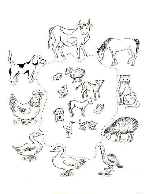 Раскраски дикие животные и их детеныши (Много фото!) - drawpics.ru