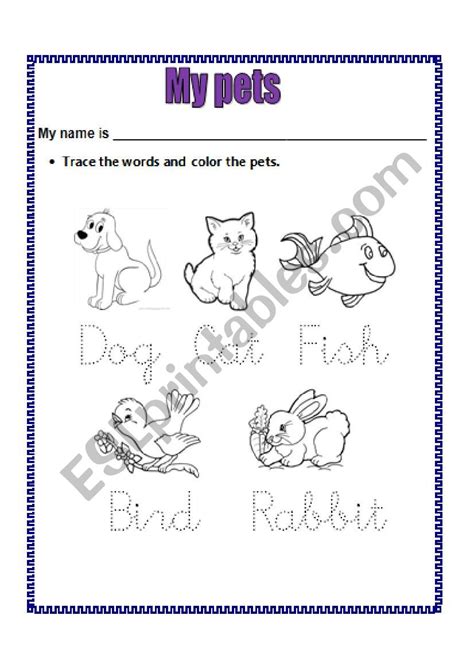 Pets Esl Worksheet By Vivita24