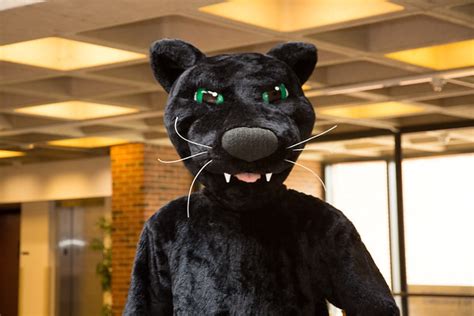 Panther Mascot - Adelphi University