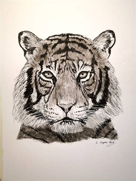 Original A4 Pen And Ink Tiger Portrait Etsy