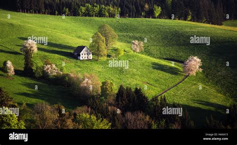 St Margen Baden Wurttemberg Schwarzwald High Resolution Stock