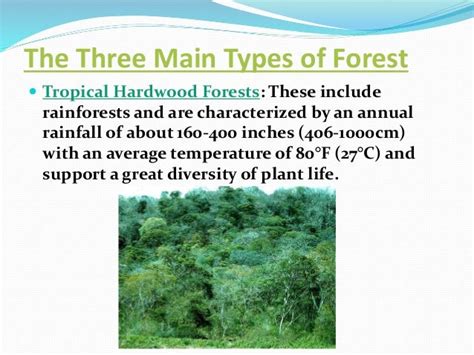 Forest biomes , a college tutorial