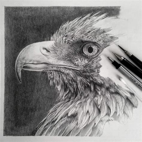 pencil sketch art simple steps  mastering  art