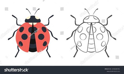 Simple Cartoon Ladybug