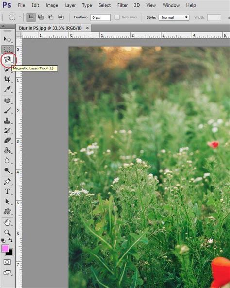 Using the Lens Blur Filter to Blur Background in Photoshop – Pretty Photoshop Actions