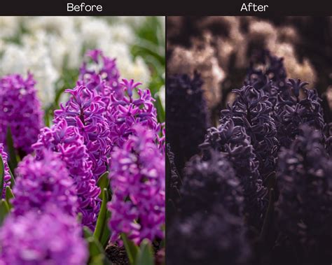 10 Dark Floral Lightroom Mobile Desktop Presets Dark Moody Etsy