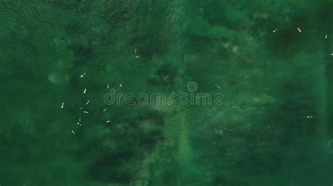 Aerial View Of Surfers Lying On Surfboards In Turquoise Water In The