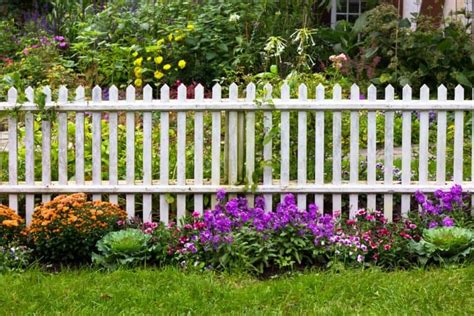 Different Types Of Fence Styles For Your Yard Guide