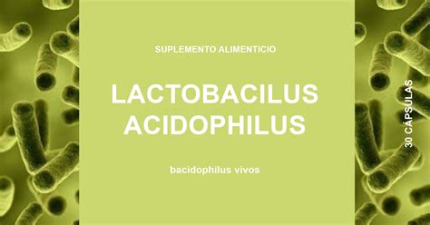 Lactobacilus Acidophilus Para que Sirve y Qué es Suplementos 2020