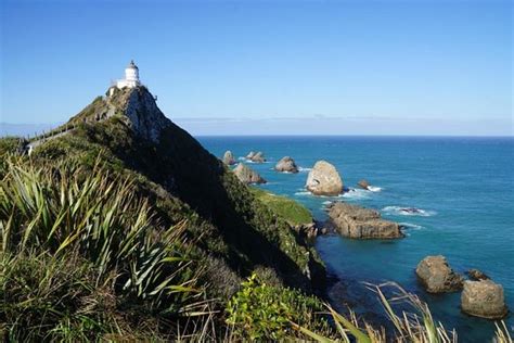 Southern Scenic Route (Invercargill) - 2020 All You Need to Know BEFORE ...