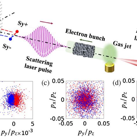 Scenario Of Generation Of Spin Polarized Electron Beams Via Nonlinear