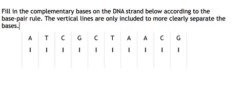 Solved Fill In The Complementary Bases On The DNA Strand Chegg