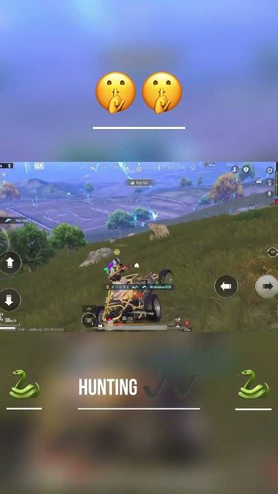 Hunting Snakes 🐍 🐍🤣🤣 Bgmi Gaming Hamelyt Youtube