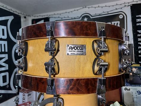 Rare Ayotte Solid Shell Snare Drum Wood Hoops Signed Ray Reverb