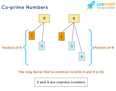 Coprime Numbers Definition Meaning Examples What Are Coprime Numbers