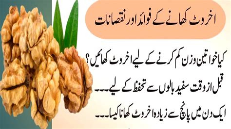 Akhrot Khane Ke Fayde Aur Nuksanbenefits And Harms Of Eating Walnuts