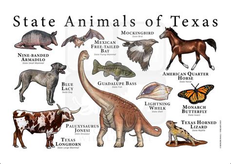 Texas State Animals Poster Print - inkart