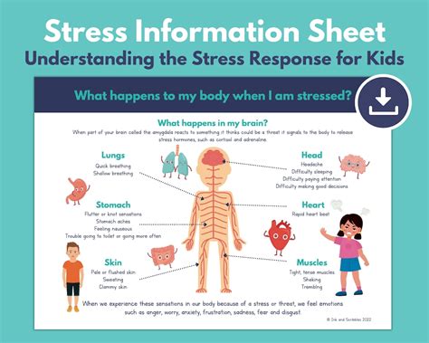 Stress Response Kids Printable Understand Stress Body Etsy