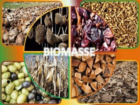 Appunti Di Tecnologia Classi Terze BIOMASSE BIOGAS E BIOCOMBUSTIBILI