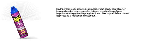 Raid aérosol multi insectes 400 ml Amazon fr Epicerie