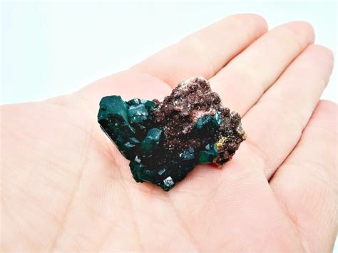 Dioptase Specimen C 13 8g Hello Indigo Halo