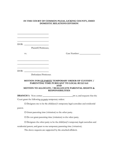 Ohio Court Common Pleas Fill Online Printable Fillable Blank