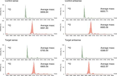 Lc Esi Q Tof Mass Spectra Of Control And Target Sirna Green Spectra