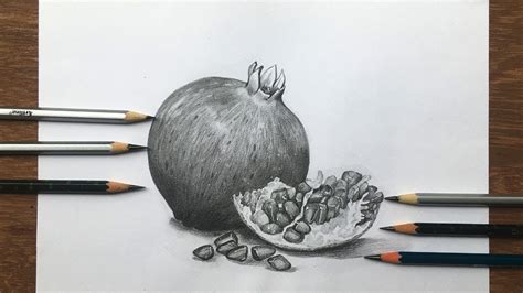 Pomegranate Pencil Drawing