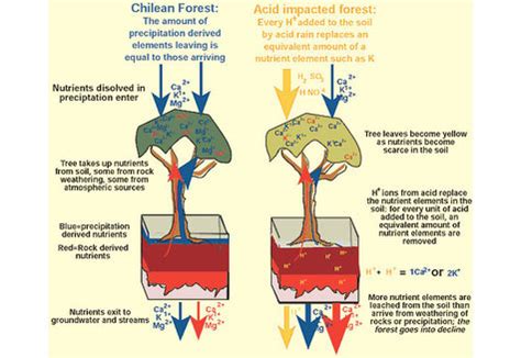 Acid Deposition - New ESS Course