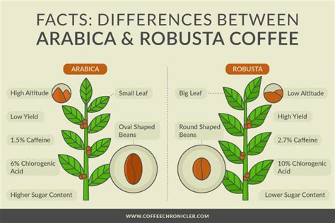 Raj Agrawal On Twitter Coffee Arabica Vs Robusta Https T Co