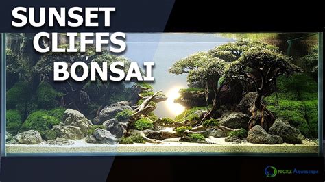 Sunset Cliffs Bonsai Aquascape Concept By Nickz Aquascape Client