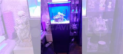 Морской аквариум комплект купить в Екатеринбурге | Животные и зоотовары ...