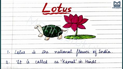 Lotus Flower Essay In English 10 Lines On Lotus Flower National