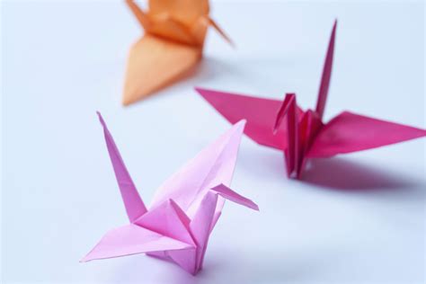 Origami: The Japanese Art Of Paper Folding EJable, 51% OFF