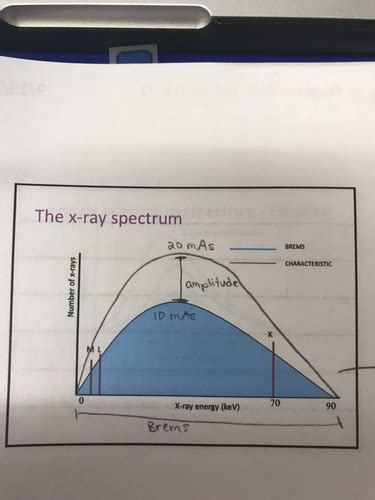 Rads 322 Principles Of Radiographic Exposure Exam 2 Chapters 7