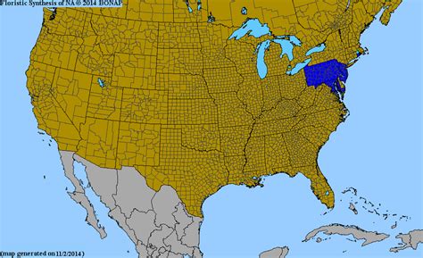 2013 BONAP North American Plant Atlas. TaxonMaps