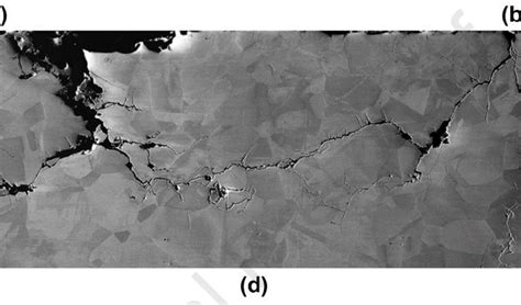 Stress Corrosion Cracking SCC In Laser Processed Stainless Steels