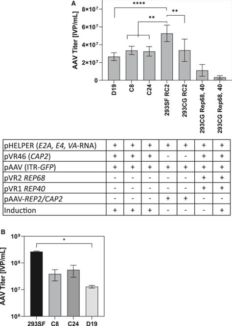 Inducible Hek Aav Packaging Cell Lines Expressing Rep Proteins