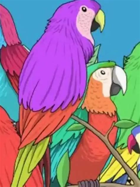 Optical Illusion Iq Test Can You Spot A Chameleon Hidden Among Parrots