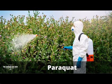 Understanding Compensation In Paraquat Lawsuits A Detailed Overview